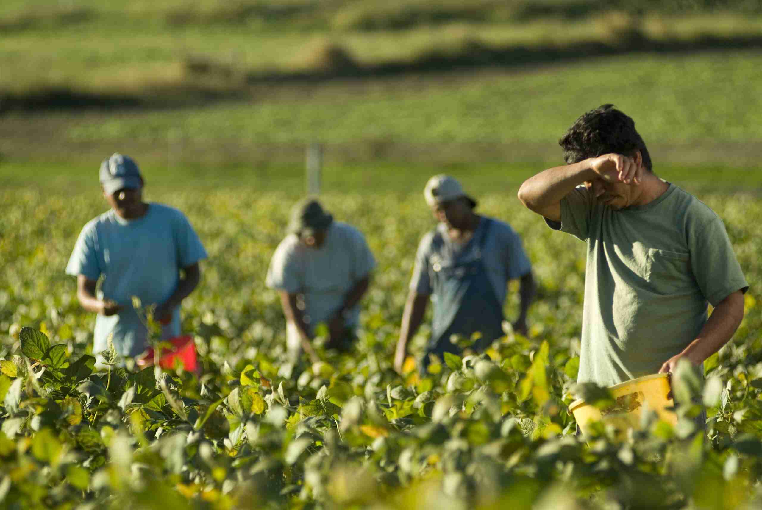 uomini lavoro