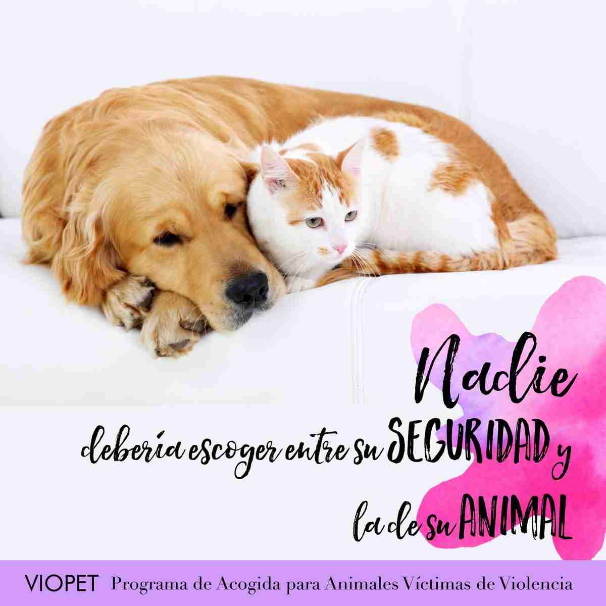 viopet