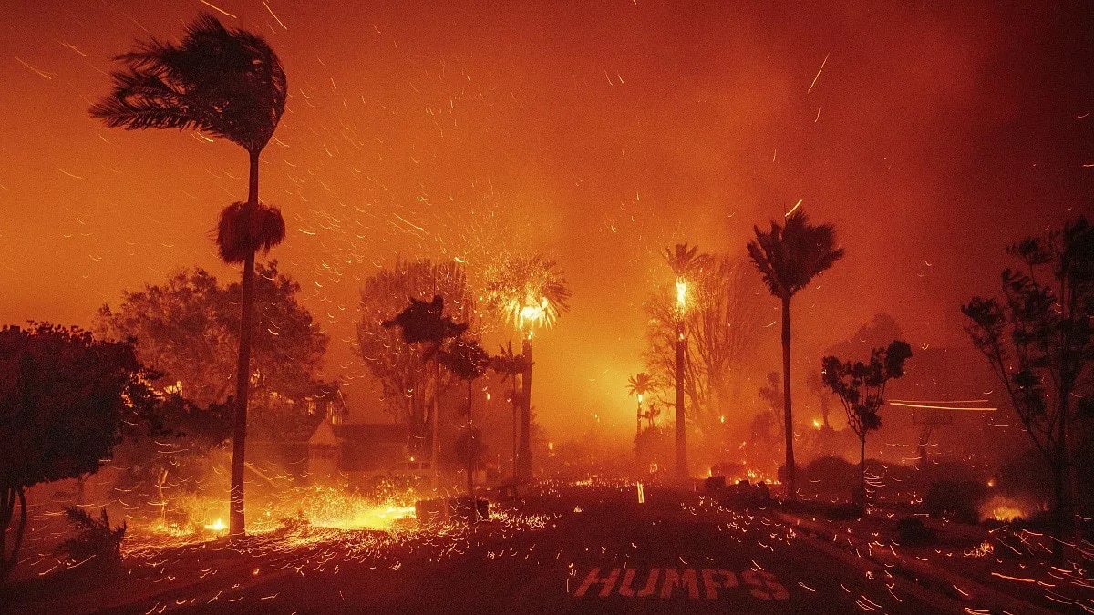 Gli incendi di Los Angeles non sono colpa della “quota DEI”. Però…